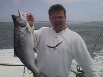 MYSALMON