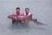 shark1